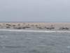 HWK Texel 110_small.jpg